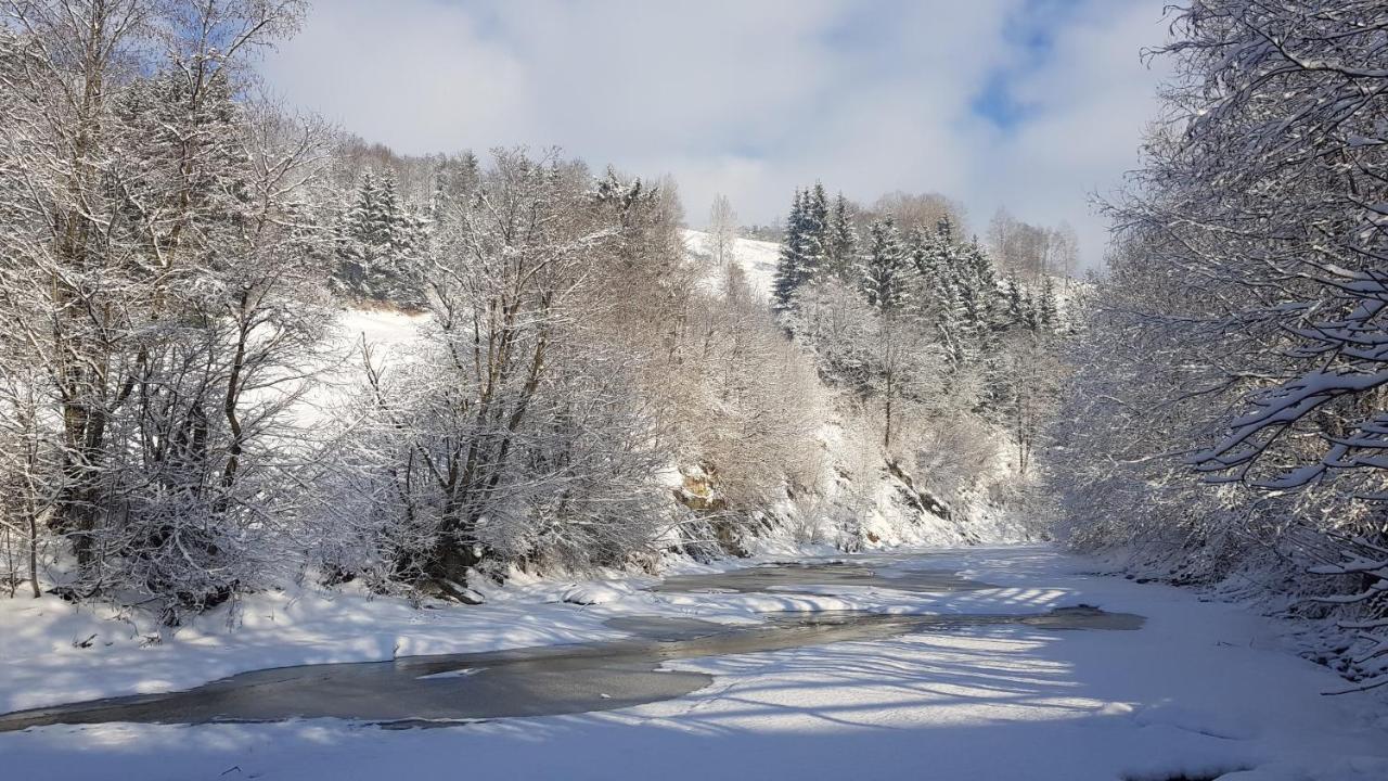 Gallery Of Mountains Holiday Home Yasinya Εξωτερικό φωτογραφία